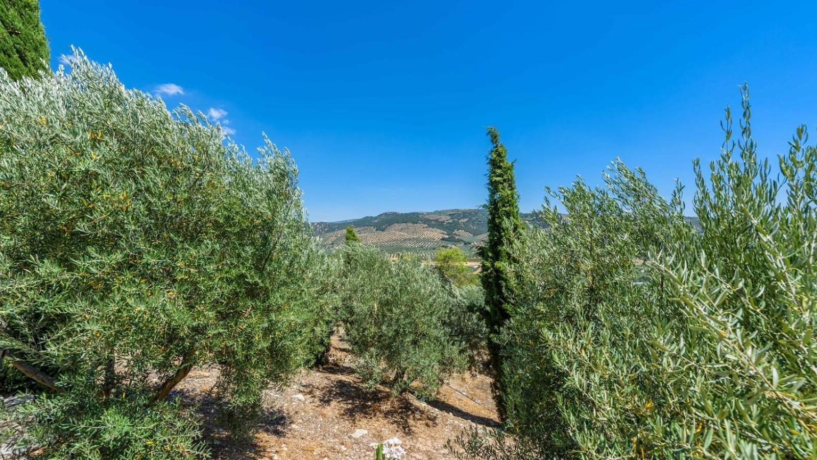 Cortijo Casablanca Priego De Cordoba By Ruralidays Villa Dış mekan fotoğraf